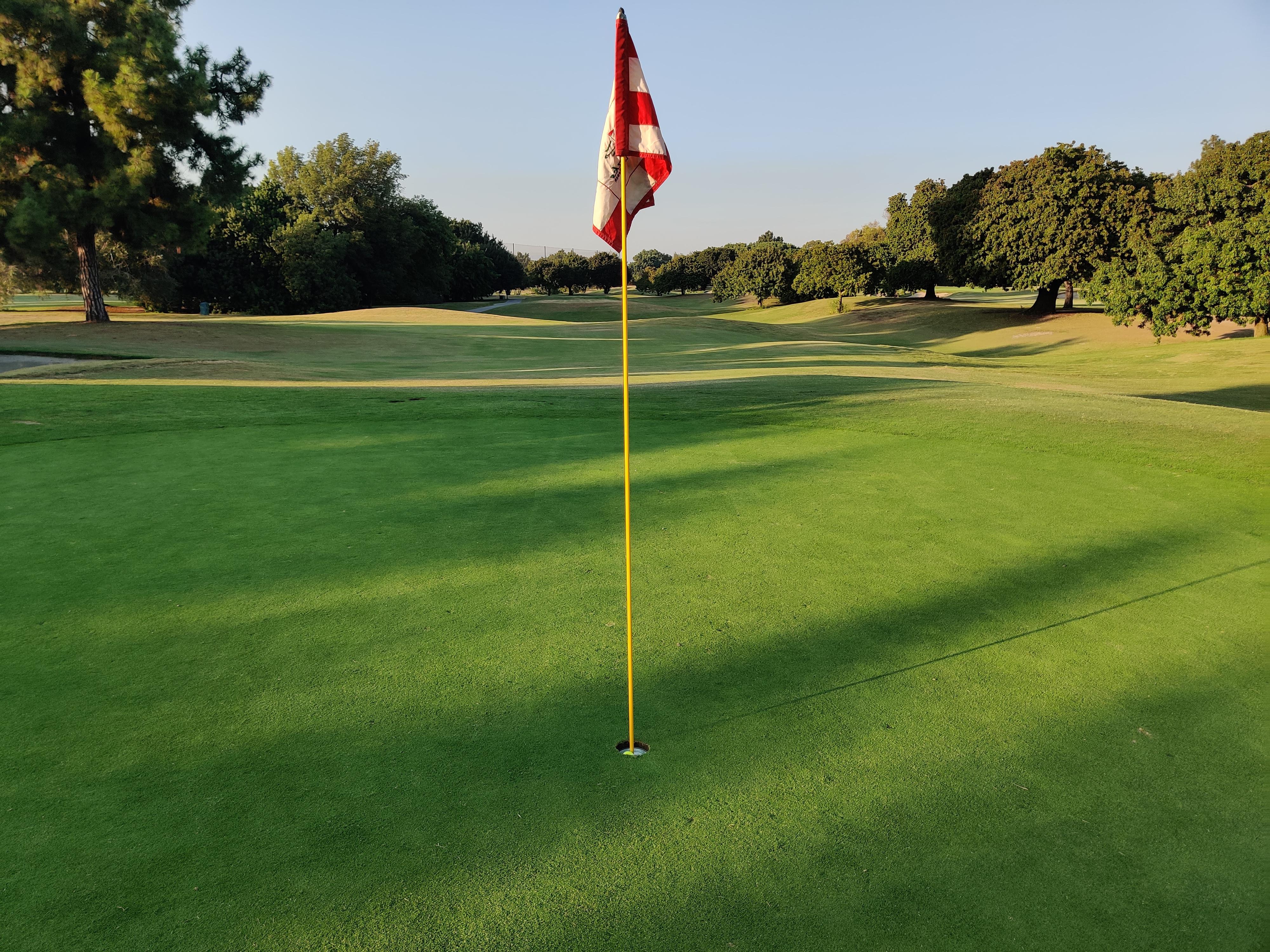 Never thought I'd get to be that guy. Hole in one at Skylinks GC #13 playing 172 yd